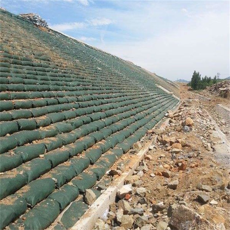 1645517809163485.jpg u=907074317,3867151103&fm=199&app=68&f=JPEG.jpg